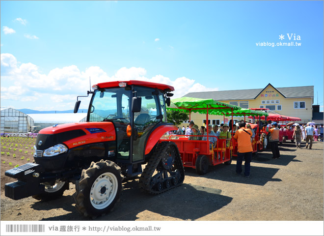 北海道花海》美瑛必去景點～「四季彩之丘」超美！夏季限定的無敵夢幻彩虹花田