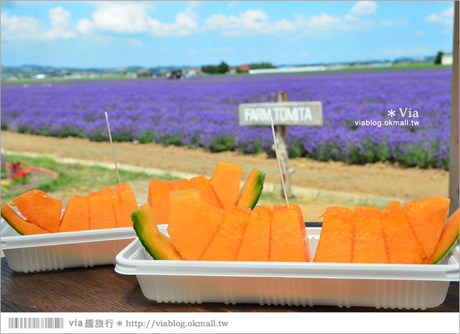 北海道旅遊》富良野／富田農場隱藏版薰衣草花田～富田農場東園。超美薰衣草田