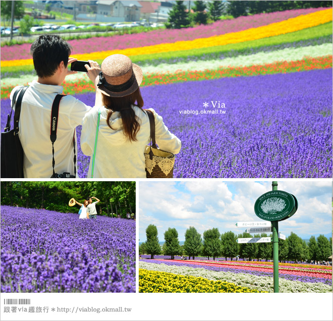 北海道自由行》北海道行程推薦／北海道自駕自助旅行～夏季賞花六日遊《行程篇》