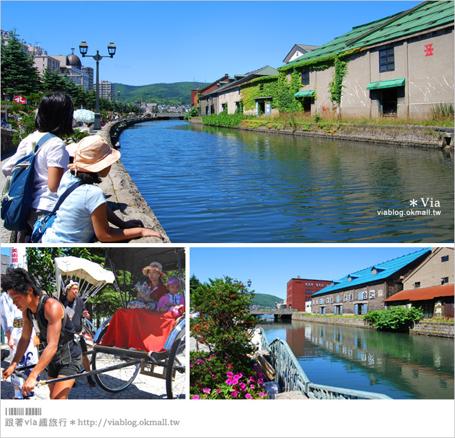 北海道自由行》北海道行程推薦／北海道自駕自助旅行～夏季賞花六日遊《行程篇》