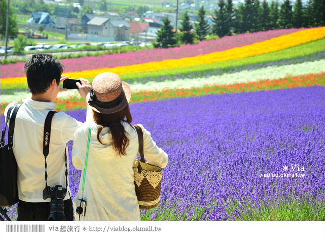 富田農場》北海道推薦景點。富田農場花季～超美的彩虹花田＋薰衣草田（上集）