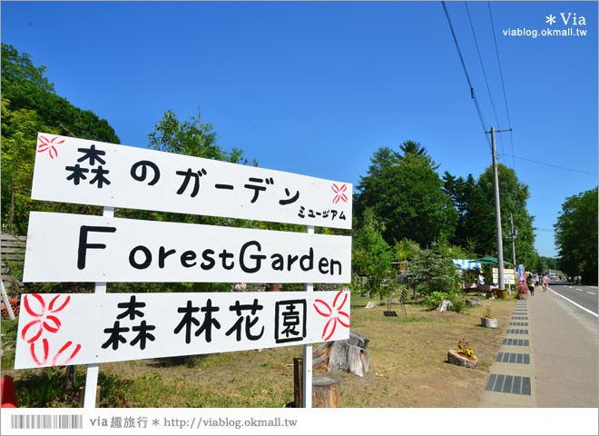 富田農場》北海道推薦景點。富田農場花季～超美的彩虹花田＋薰衣草田（上集）