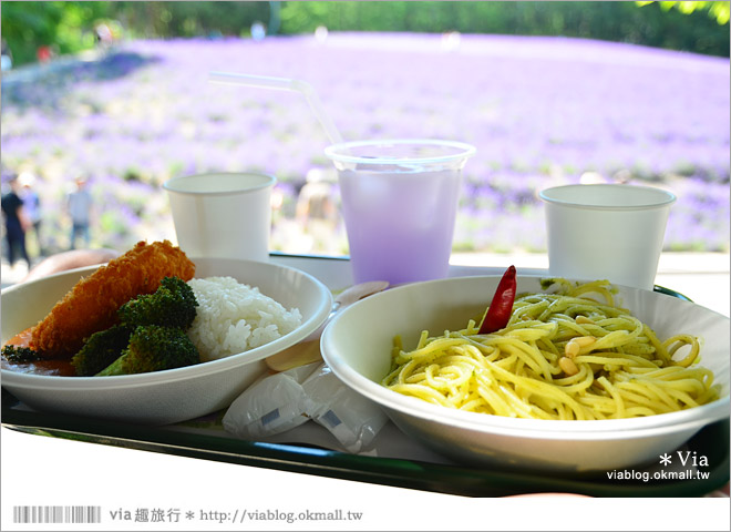 北海道自由行》富田農場(ファーム富田)～彩色花田+哈密瓜商店+薰衣草美食篇（下集）