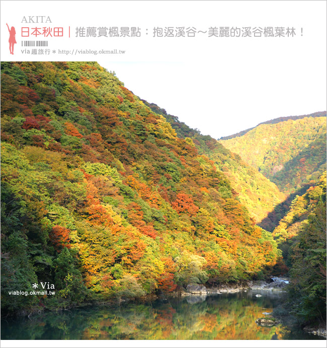 東北賞楓景點》秋田抱返溪谷～山林間美好的溪谷景觀！秋天滿是紅葉時最美