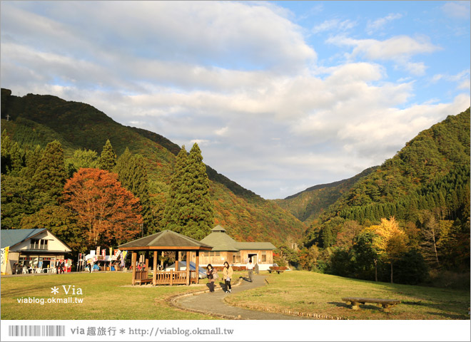 東北賞楓景點》秋田抱返溪谷～山林間美好的溪谷景觀！秋天滿是紅葉時最美