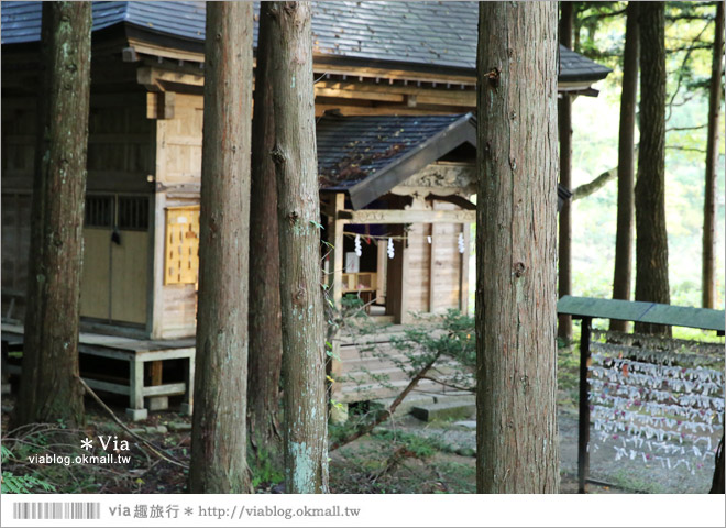 東北賞楓景點》秋田抱返溪谷～山林間美好的溪谷景觀！秋天滿是紅葉時最美