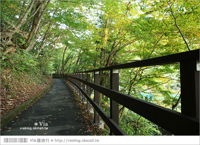 東北賞楓景點》秋田抱返溪谷～山林間美好的溪谷景觀！秋天滿是紅葉時最美