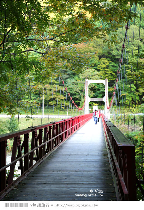 東北賞楓景點》秋田抱返溪谷～山林間美好的溪谷景觀！秋天滿是紅葉時最美