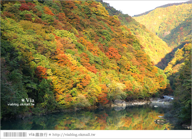 東北賞楓景點》秋田抱返溪谷～山林間美好的溪谷景觀！秋天滿是紅葉時最美