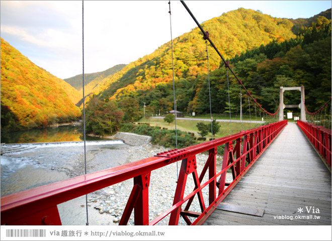 東北賞楓景點》秋田抱返溪谷～山林間美好的溪谷景觀！秋天滿是紅葉時最美