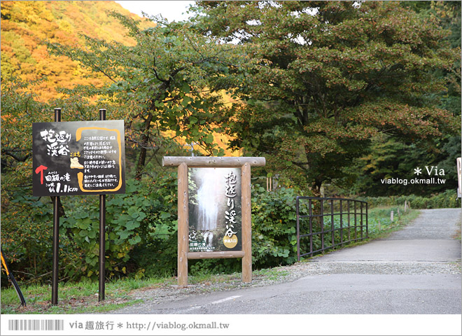 東北賞楓景點》秋田抱返溪谷～山林間美好的溪谷景觀！秋天滿是紅葉時最美