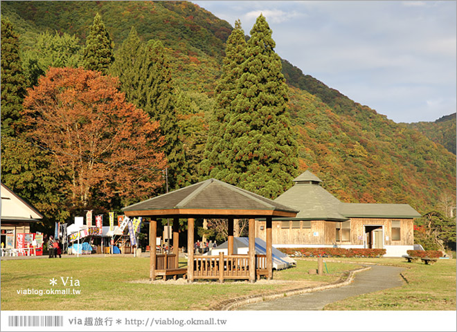 東北賞楓景點》秋田抱返溪谷～山林間美好的溪谷景觀！秋天滿是紅葉時最美