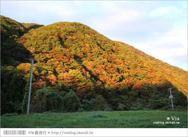 東北賞楓景點》秋田抱返溪谷～山林間美好的溪谷景觀！秋天滿是紅葉時最美