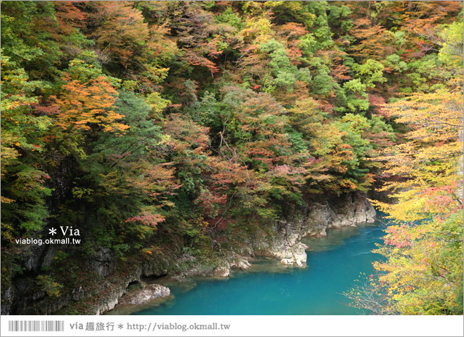 東北賞楓景點》秋田抱返溪谷～山林間美好的溪谷景觀！秋天滿是紅葉時最美