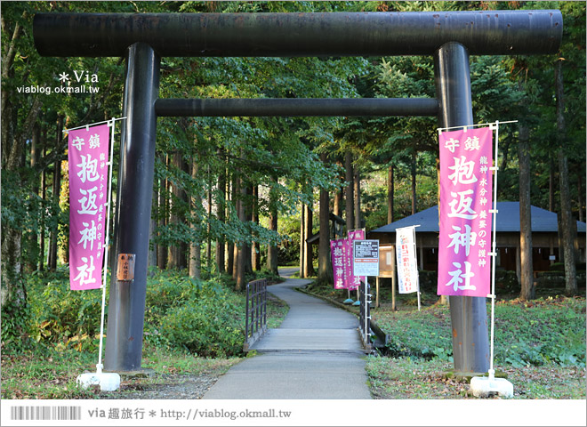 東北賞楓景點》秋田抱返溪谷～山林間美好的溪谷景觀！秋天滿是紅葉時最美