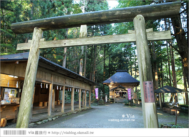 東北賞楓景點》秋田抱返溪谷～山林間美好的溪谷景觀！秋天滿是紅葉時最美