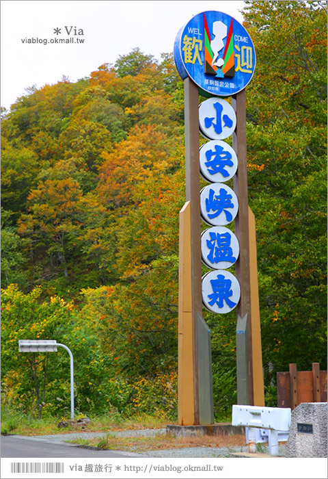 秋田紅葉景點》小安峽溫泉～有著大噴湯峽谷美景的紅葉溫泉鄉！