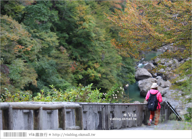 秋田紅葉景點》小安峽溫泉～有著大噴湯峽谷美景的紅葉溫泉鄉！