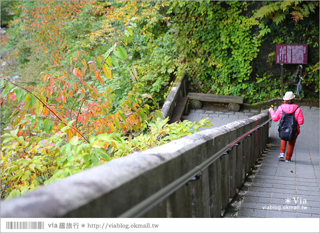 秋田紅葉景點》小安峽溫泉～有著大噴湯峽谷美景的紅葉溫泉鄉！