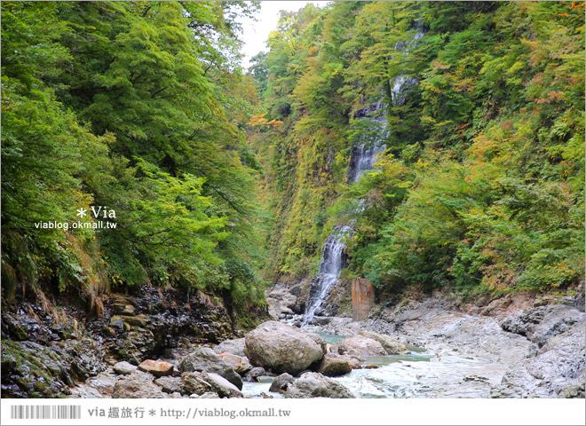 秋田紅葉景點》小安峽溫泉～有著大噴湯峽谷美景的紅葉溫泉鄉！