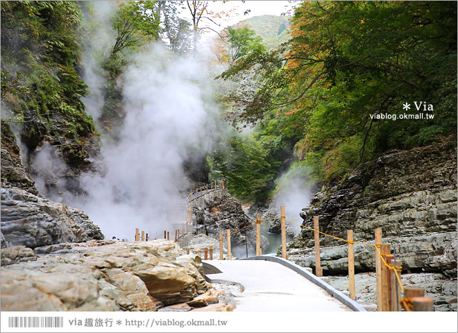 秋田紅葉景點》小安峽溫泉～有著大噴湯峽谷美景的紅葉溫泉鄉！