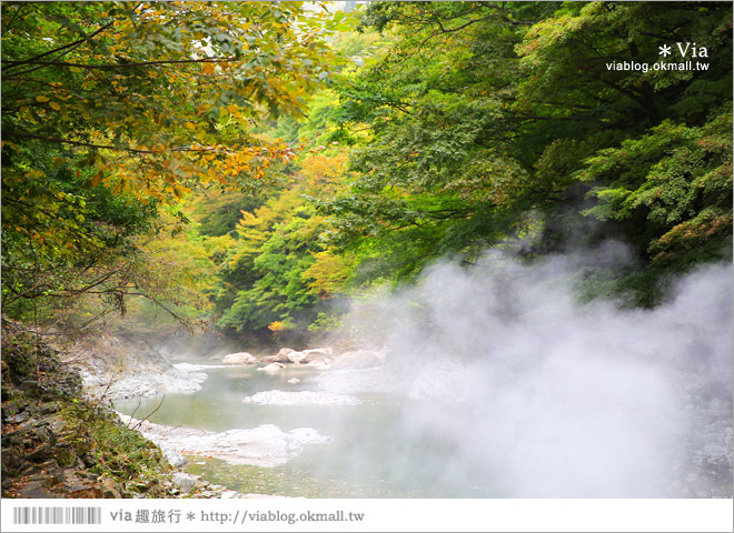 秋田紅葉景點》小安峽溫泉～有著大噴湯峽谷美景的紅葉溫泉鄉！