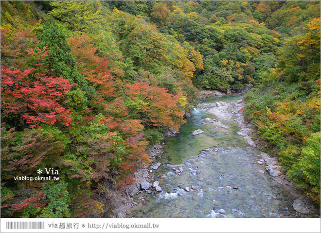 秋田紅葉景點》小安峽溫泉～有著大噴湯峽谷美景的紅葉溫泉鄉！