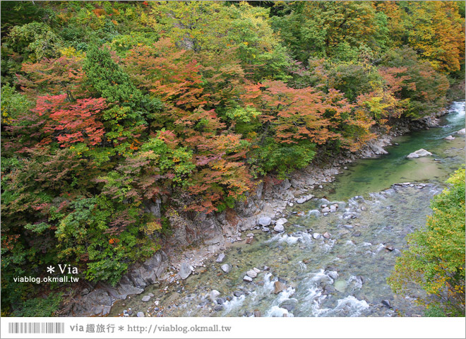 秋田紅葉景點》小安峽溫泉～有著大噴湯峽谷美景的紅葉溫泉鄉！