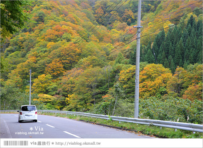 秋田紅葉景點》小安峽溫泉～有著大噴湯峽谷美景的紅葉溫泉鄉！