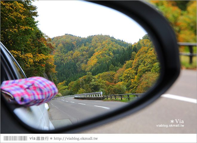 秋田紅葉景點》小安峽溫泉～有著大噴湯峽谷美景的紅葉溫泉鄉！