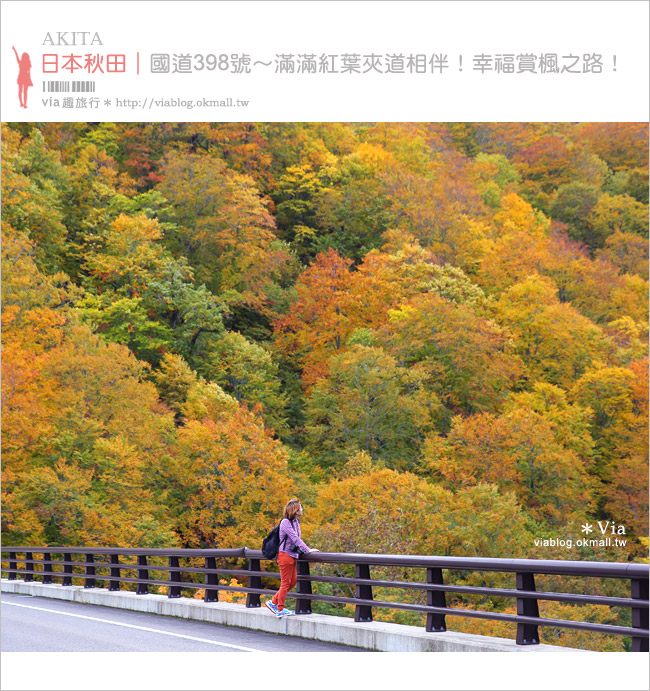 東北賞楓》秋田國道398號～不思議的紅葉公路！沿途紅葉美景相伴，處處都是美炸的景色