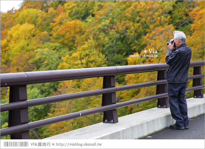 東北賞楓》秋田國道398號～不思議的紅葉公路！沿途紅葉美景相伴，處處都是美炸的景色