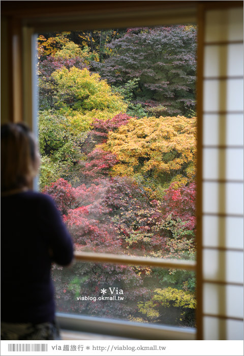 秋田溫泉飯店》東北溫泉旅館推薦～秋田鹿角「湯瀨溫泉飯店」紅葉景觀溫泉美翻了！