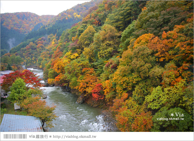 秋田溫泉飯店》東北溫泉旅館推薦～秋田鹿角「湯瀨溫泉飯店」紅葉景觀溫泉美翻了！