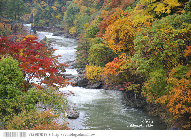 秋田溫泉飯店》東北溫泉旅館推薦～秋田鹿角「湯瀨溫泉飯店」紅葉景觀溫泉美翻了！