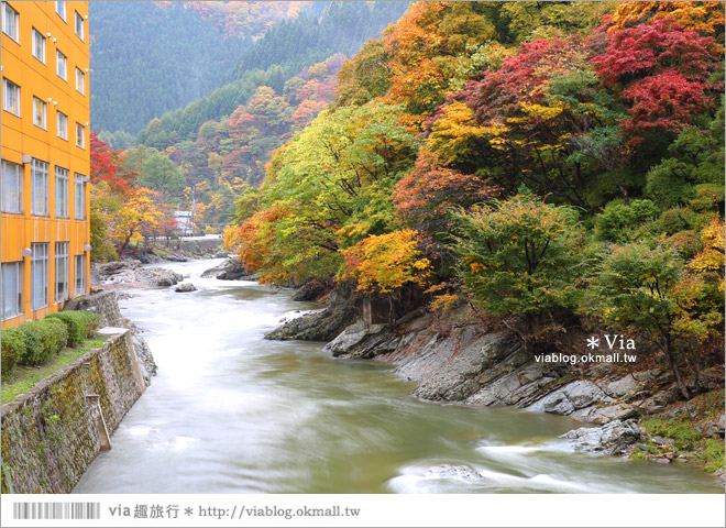 秋田溫泉飯店》東北溫泉旅館推薦～秋田鹿角「湯瀨溫泉飯店」紅葉景觀溫泉美翻了！