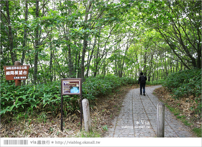 釧路旅遊景點》釧路濕原一日遊好好玩！釧路川獨木舟、釧路濕原norokko號、細岡展望台