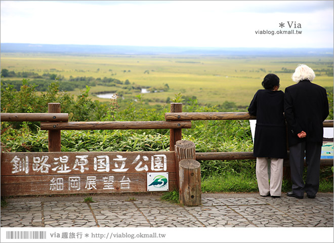 釧路旅遊景點》釧路濕原一日遊好好玩！釧路川獨木舟、釧路濕原norokko號、細岡展望台