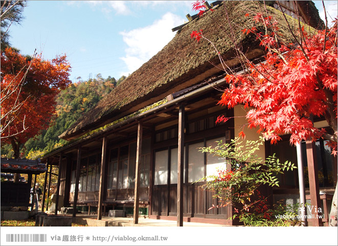 【京阪神自由行】關西賞楓懶人包！大阪、京都、奈良｜Via的紅葉美景全記錄♥ （目前收集28個，持續更新中）