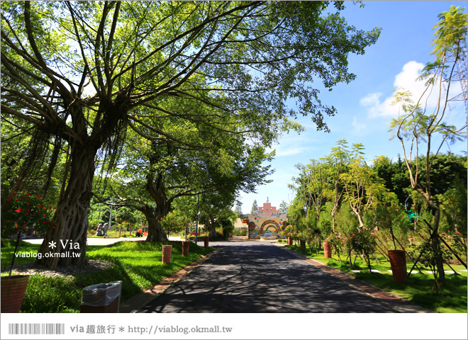 雲林景點一日遊》雲林古坑蘿莎玫瑰莊園～玫瑰花園休日遊憩好去處‧香味滿山城！