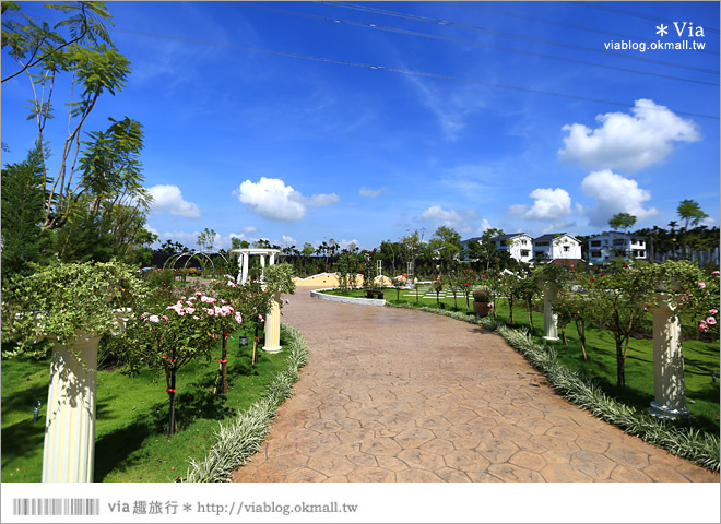 雲林景點一日遊》雲林古坑蘿莎玫瑰莊園～玫瑰花園休日遊憩好去處‧香味滿山城！