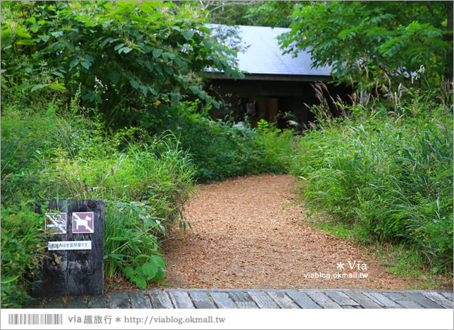 北海道景點》帶廣景點推薦：六花之森～六花亭的甜點森林！夢幻的包裝紙屋好浪漫！