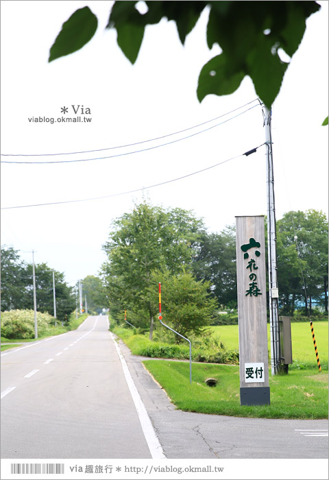 北海道景點》帶廣景點推薦：六花之森～六花亭的甜點森林！夢幻的包裝紙屋好浪漫！