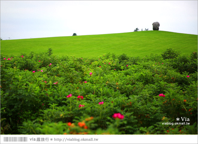 北海道景點》帶廣景點推薦：六花之森～六花亭的甜點森林！夢幻的包裝紙屋好浪漫！