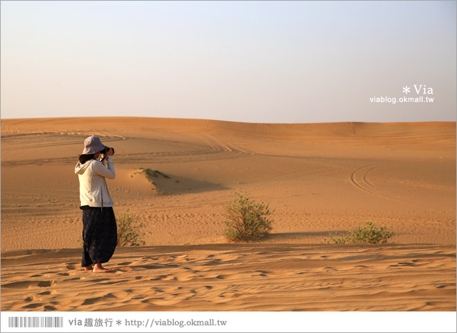 杜拜旅遊》杜拜旅遊行程～來去飆沙去！沙漠飆沙、騎駱駝、看夕陽、享用帳蓬晚餐！