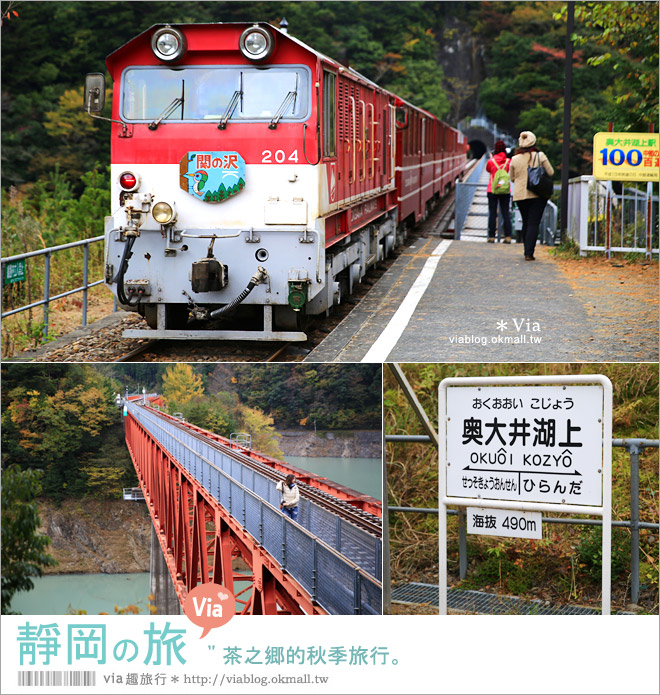 靜岡自由行程》靜岡旅遊～茶之鄉的秋季旅行《六日行程篇》跟著Via醬玩西靜岡！