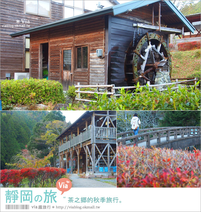 靜岡自由行程》靜岡旅遊～茶之鄉的秋季旅行《六日行程篇》跟著Via醬玩西靜岡！