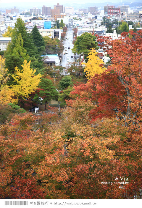 福島旅遊景點》鶴之城／會津若松城～日本百選名城之一！日本國內唯一使用赤瓦的古城