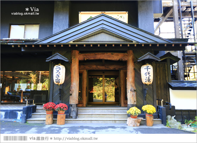 福島東山溫泉》福島會津若松住宿推薦～くつろぎ宿 千代滝溫泉旅館