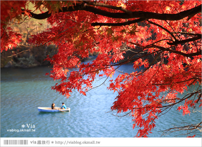 福島景點推薦》五色沼～福島的人氣景點！搭配紅葉的夢幻湖沼之旅